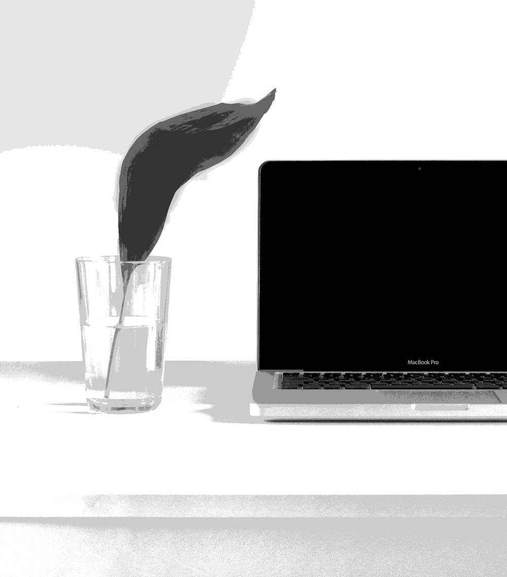 UNe fleur aux côtés d'un macbook sur un bureau blanc